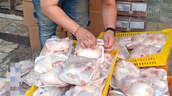 ضبط 500 كجم دواجن غير مرخصة في بورسعيد