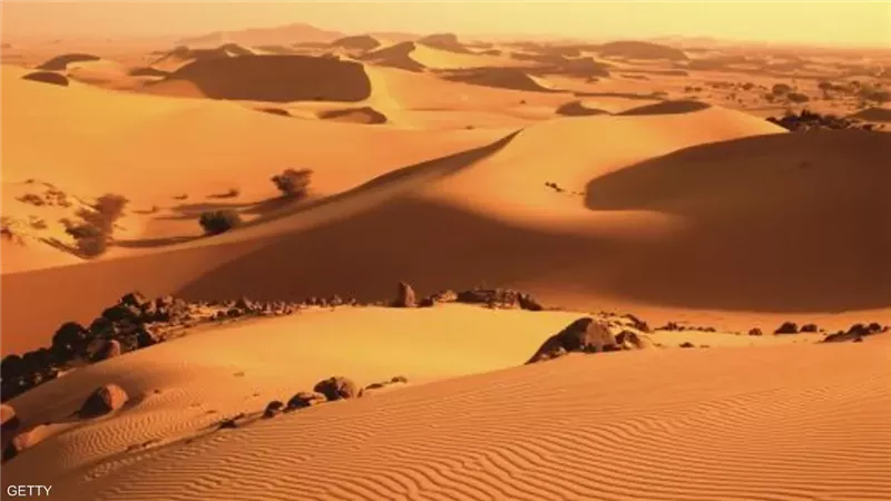 صحراء النيجر، فيتو