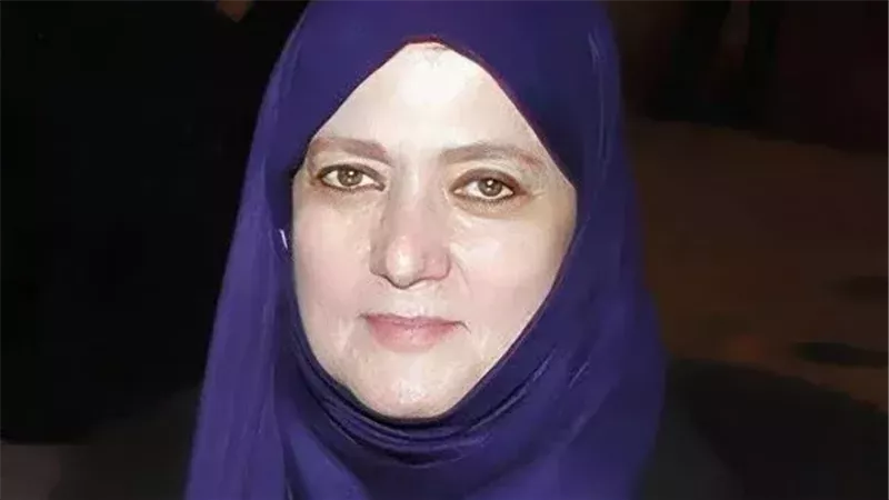شمس البارودي 