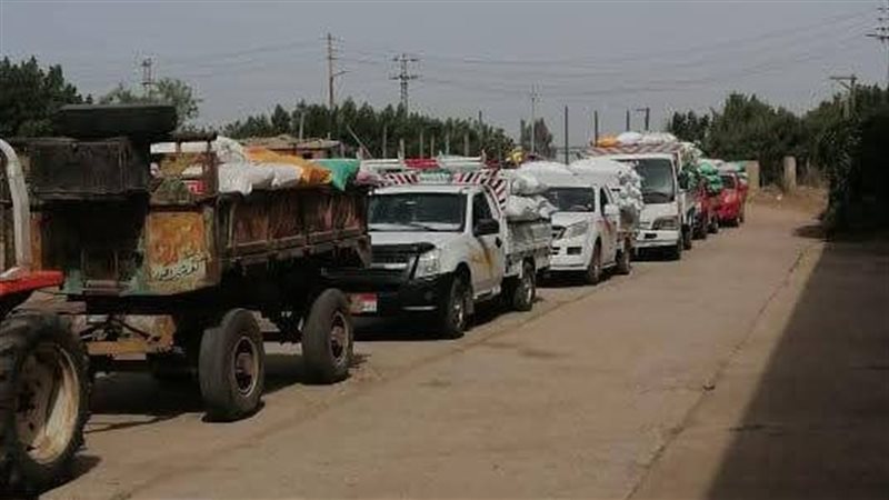 طوابير توريد القمح