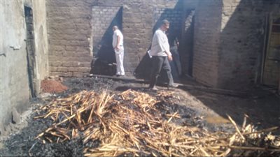 الأدلة الجنائية تعاين حريق 12 منزلا و5 أحواش بقرية الجواهين بسوهاج 