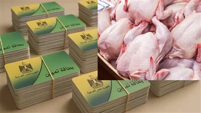جدل واسع بين المصريين بعد اقتراح 