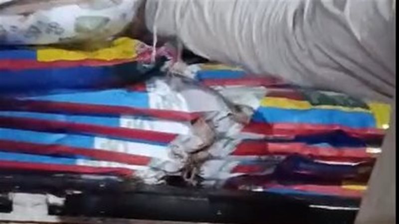 مضبوطات، فيتو