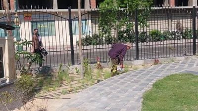 رفع كفاءة المسطحات الخضراء ضمن خطة تجميل شوارع وميادين دمنهور