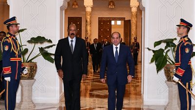  6 صور ترصد تفاصيل القمة المصرية الإريترية اليوم بالقاهرة