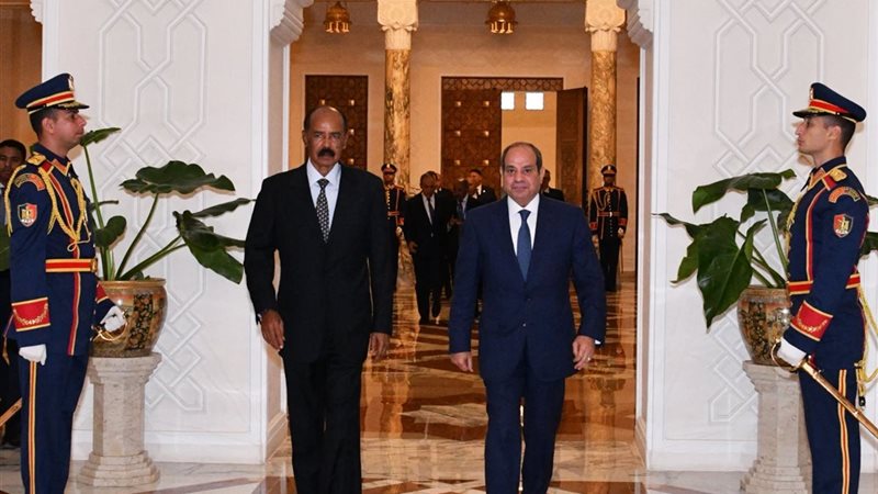 President Sisi and the President