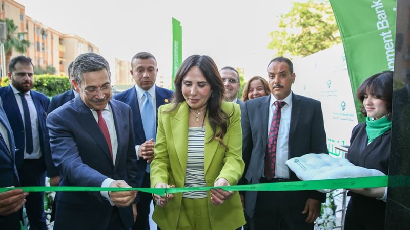 راندة المنشاوي 