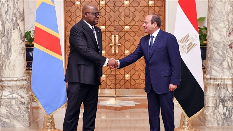الرئيس السيسي ورئيس
