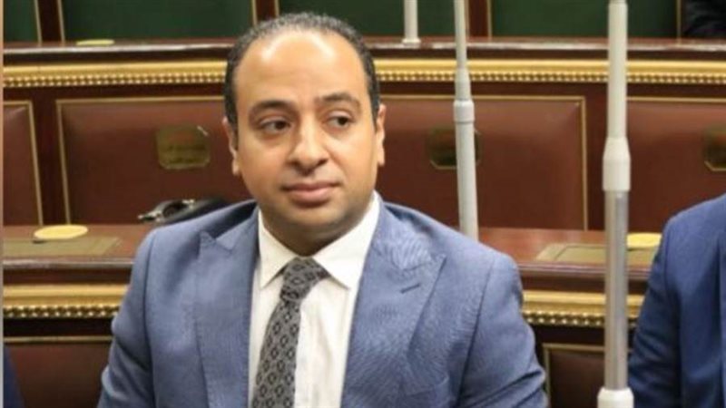 الدكتور أحمد عمارة،