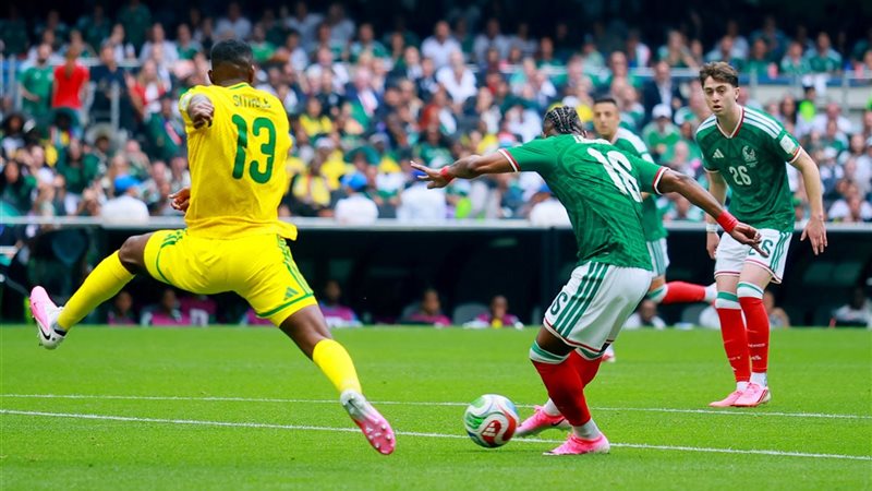 المكسيك وجنوب أفريقيا،
