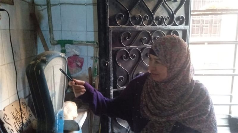 تموين القليوبية،