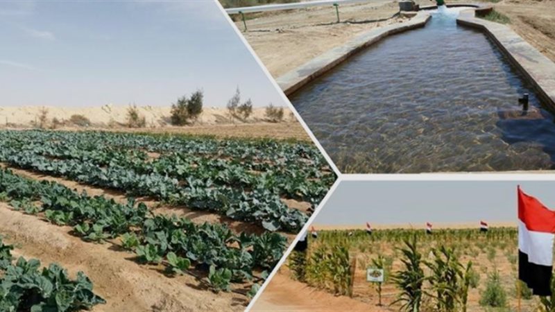 مطالب بإقامة مجمعات