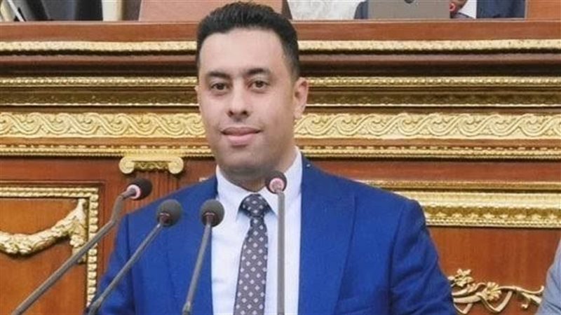  أحمد فرغل، عضو اللجنة
