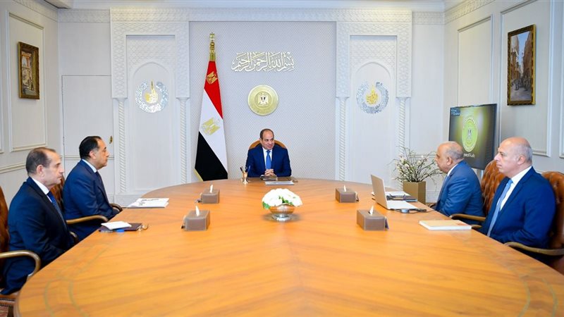 اجتماع الرئيس السيسي،