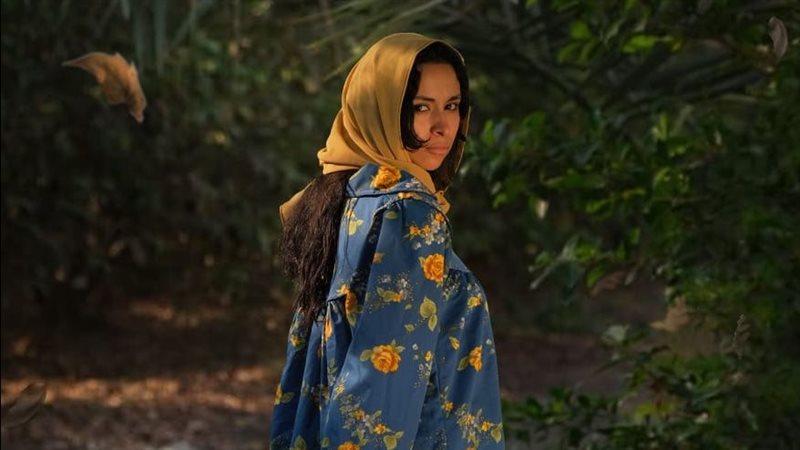 أفلام نادي سينما