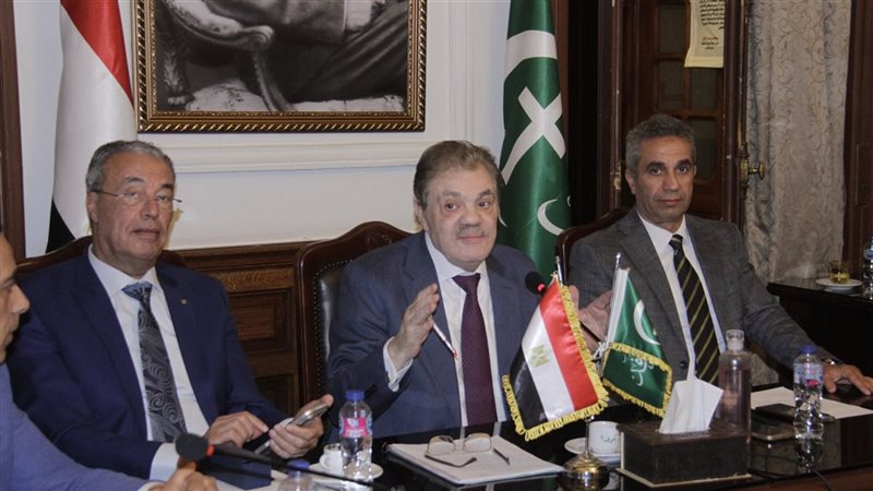 حزب الوفد، فيتو 