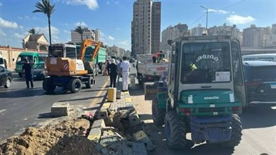 استجابة لشكاوى المواطنين، تركيب إشارة مرورية بشارع مصطفى كامل في الإسكندرية 