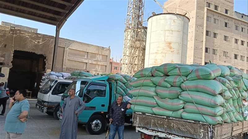 صوامع القمح 