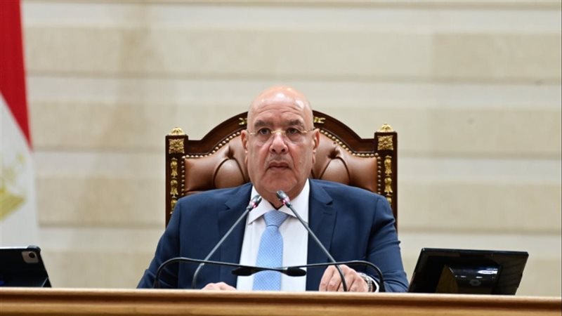 المستشار هشام بدوي