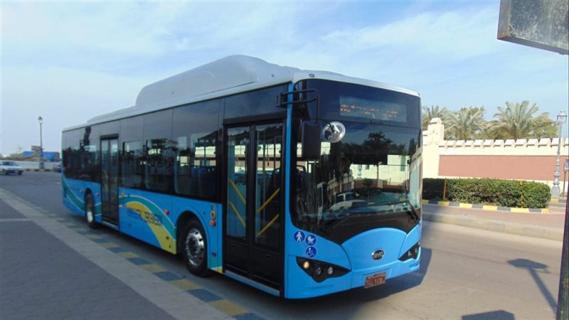الاسكندريه 