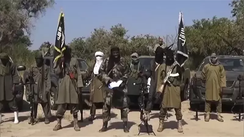 جماعة بوكو حرام،