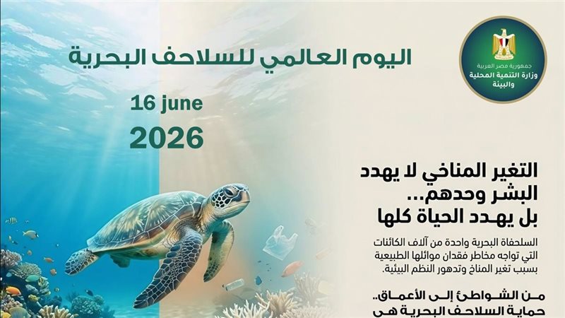 اليوم العالمي للسلاحف