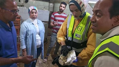 ضبط أغذية ولحوم غير صالحة للاستخدام الآدمي في حملة رقابية بالخصوص