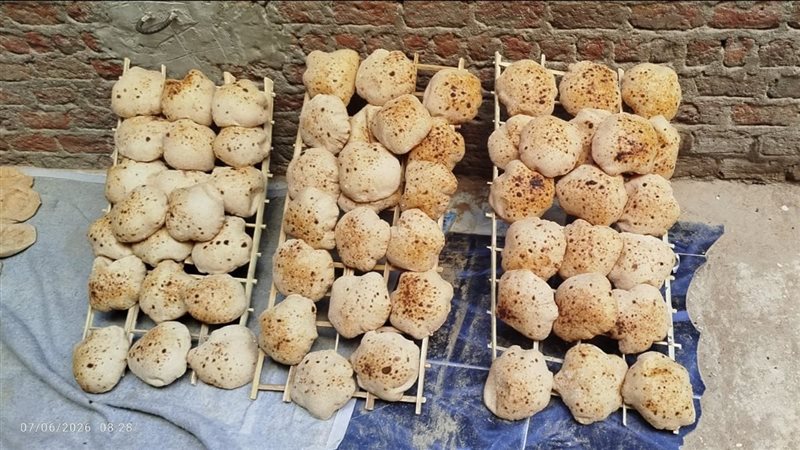 حملة تموينية بأسيوط،