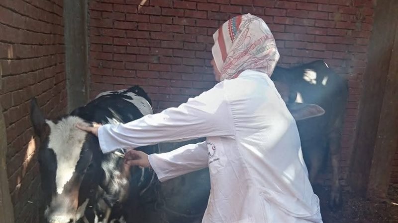 جانب من عملية التحصين