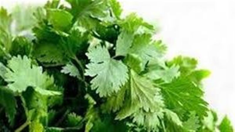  تفسير رؤية البقدونس