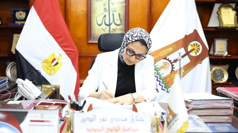 محافظ الوادى الجديد،