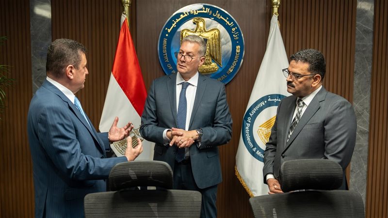 المهندس كريم بدوي