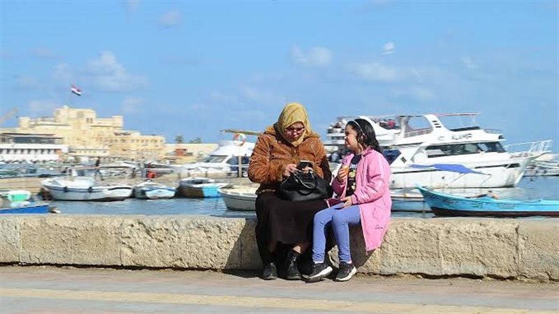 فصل الصيف، فيتو