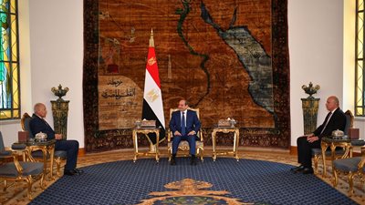  الرئيس السيسي يستقبل أبو الغيط ونبيل فهمي (فيديو)  
