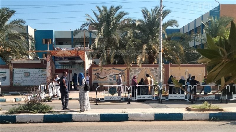 الوادي الجديد