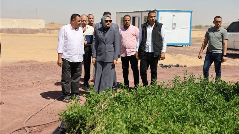 محافظ الوادى الجديد،