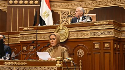 سحر نصر تستعرض تفاصيل دراسة الأثر التشريعي لقانون الشركات المساهمة 