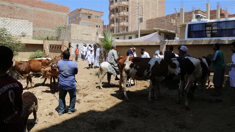قافلة بيطرية، فيتو
