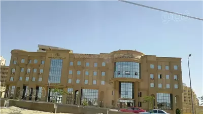 علاقة بدأت برسائل وانتهت بحكم قضائي، براءة مهندس شرقاوي في دعوى موظفة كورية