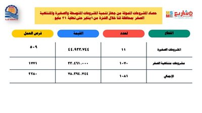تمويل 1081 مشروعا للشباب بـ 78.3 مليون جنيه خلال 5 أشهر بقنا