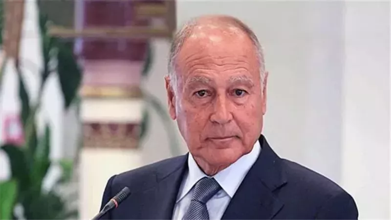 أحمد أبو الغيط، فيتو