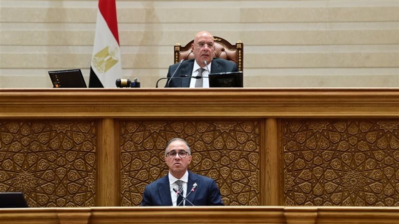 مجلس النواب، فيتو