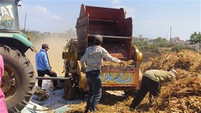 حكاية تتوارثها الأجيال في شربين، 