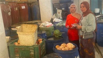 ضبط 283 شيكارة دقيق مدعم و7 أطنان مخللات و675 كجم أسماك فاسدة بالدقهلية (صور)