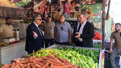 محافظ الدقهلية يتفقد منافذ بيع الخضروات بالمنصورة: لا تهاون مع التلاعب بالأسعار (صور) 