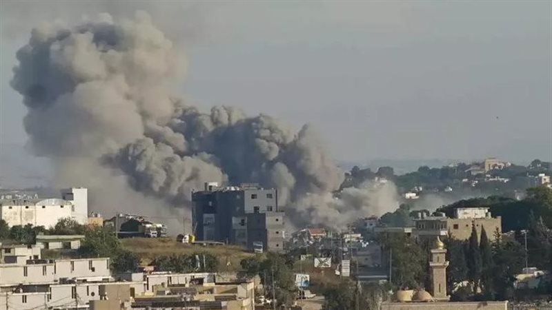 جنوب لبنان، فيتو