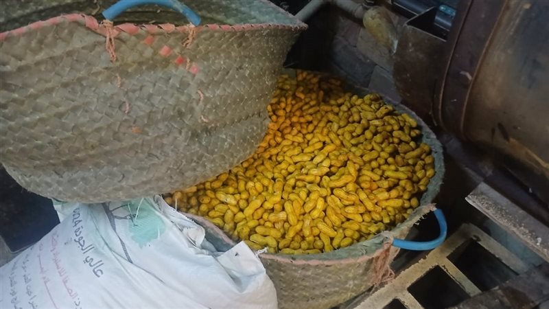 بعض المضبوطات،فيتو