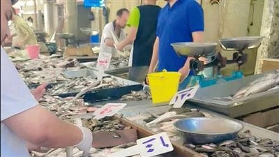  بعد واقعة التسمم بالشوبك الشرقي، مطالب برلمانية لتشديد الرقابة على الأسواق الشعبية 