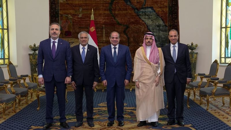 السيسي خلال استقبال