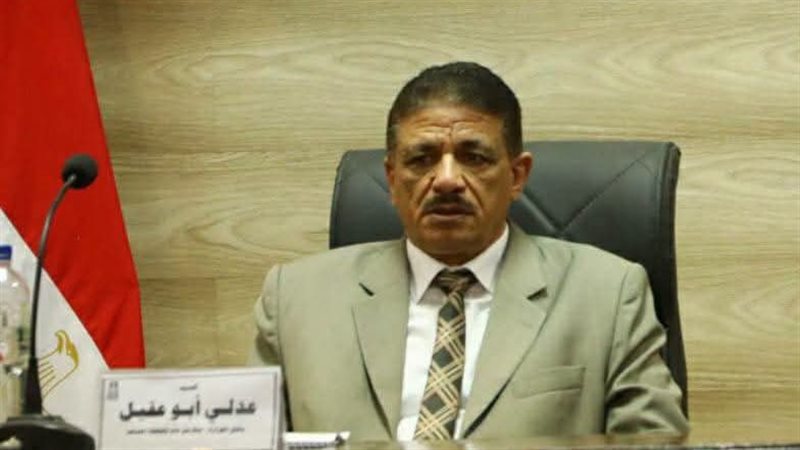 سكرتير عام الوادي
